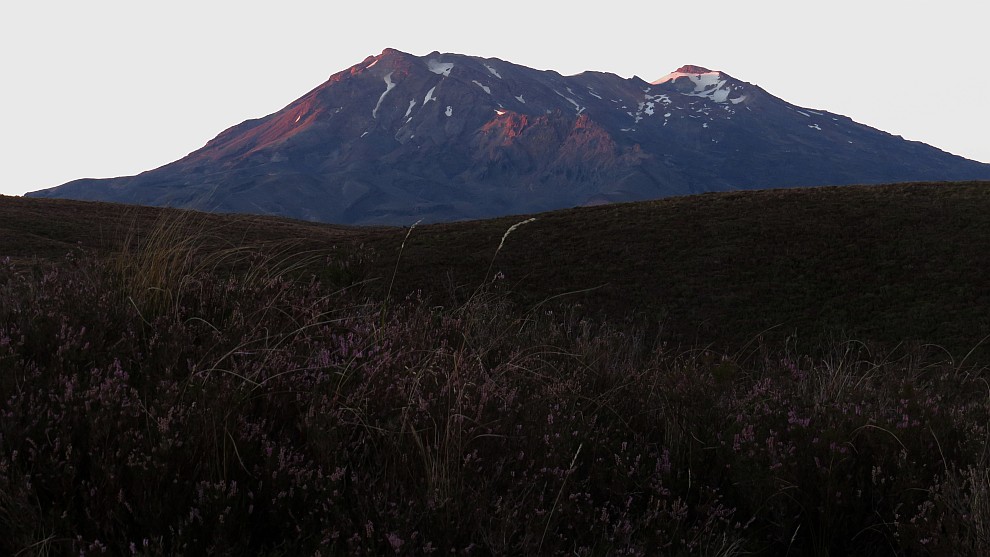 Ruapehu bei aufgehender Sonne